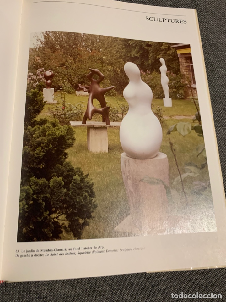 Libros de segunda mano: Arp. Serge fauchereau - Foto 4