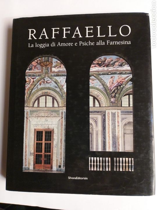 Gebrauchte B&uuml;cher: Raffaello la logiga di amore e psiche all&aacute; Farnesina Rosal&iacute;a Varoli . Pintura antigua