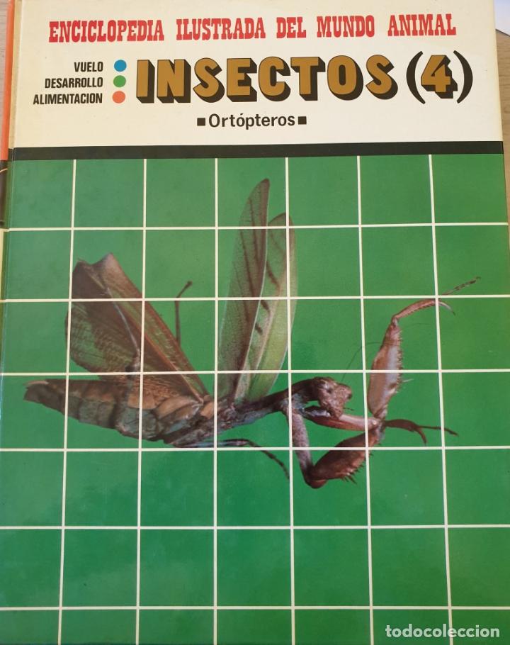Libros de segunda mano: INSECTOS (4). ORTOPTEROS. - - Foto 1