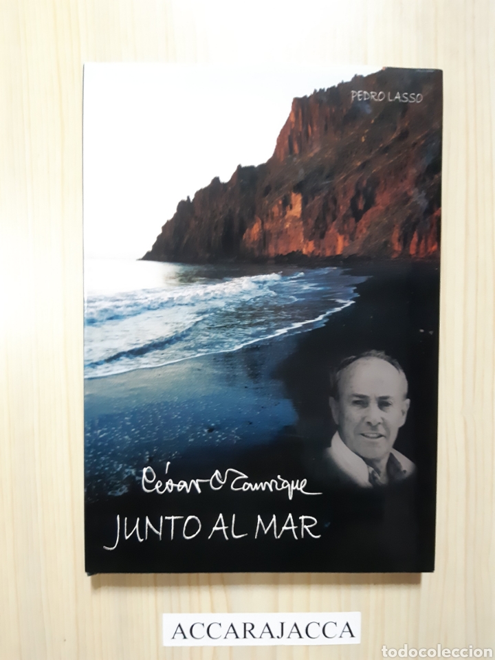 Libros de segunda mano: Cesar Manrique. Junto al mar. Pedro Lasso - Foto 1