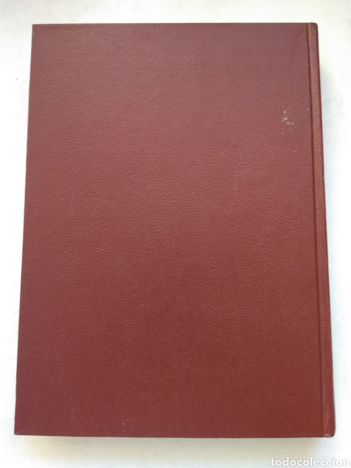 Libros de segunda mano: RENOIR - Foto 3