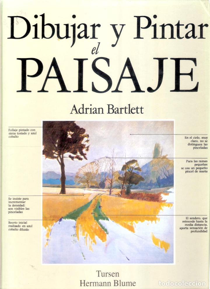 DIBUJAR Y PINTAR EL PAISAJE - ADRIAN BARTLETT (Libros de Segunda Mano - Bellas artes, ocio y coleccionismo - Pintura)