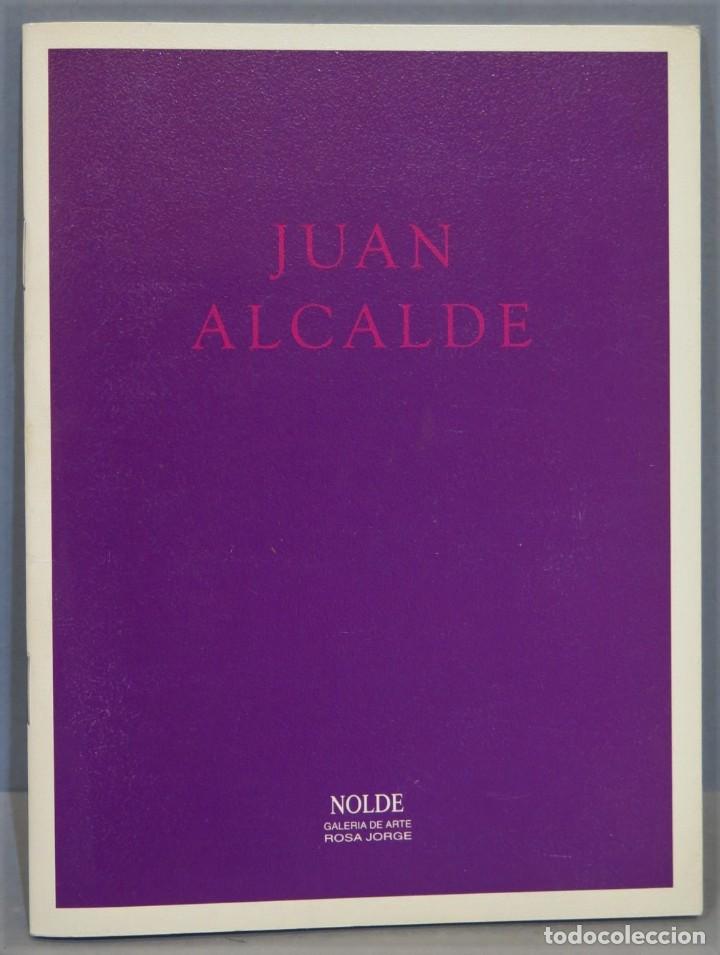Libros de segunda mano: JUAN ALCALDE. NOLDE - Foto 1
