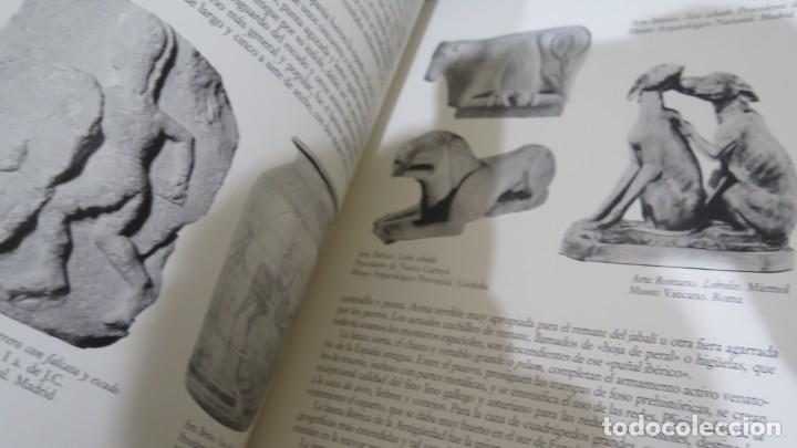 Libros de segunda mano: LA CAZA EN EL ARTE ESPA&Ntilde;OL - Foto 2