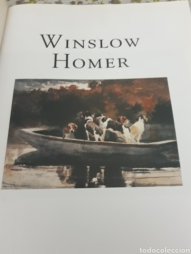 Libros de segunda mano: Winslow Homer Kate Jennings