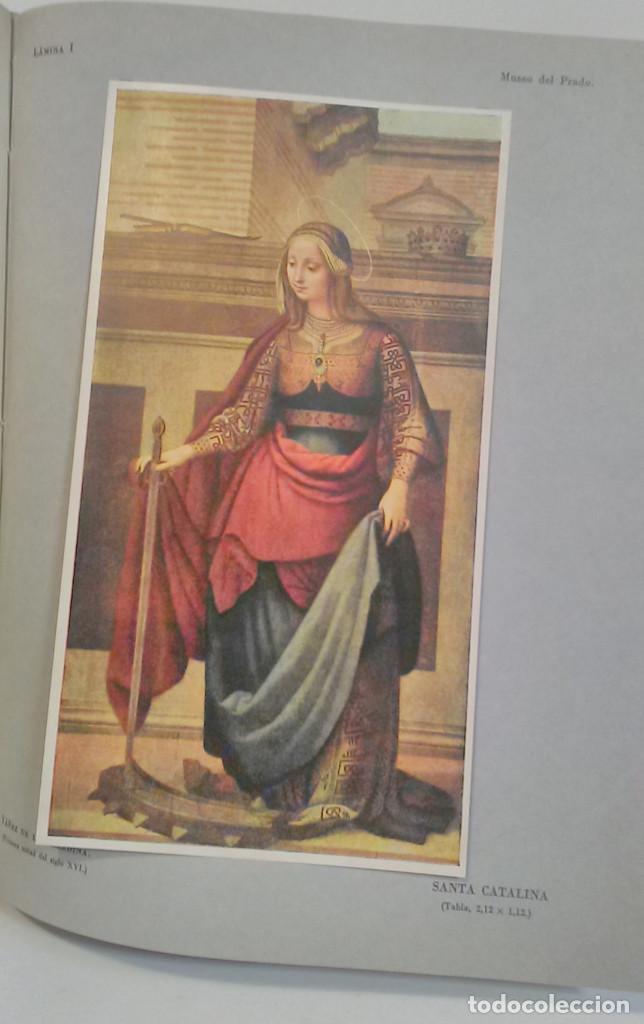 Libros de segunda mano: Museos de pintura en Madrid. Quinta edici&oacute;n - Foto 7