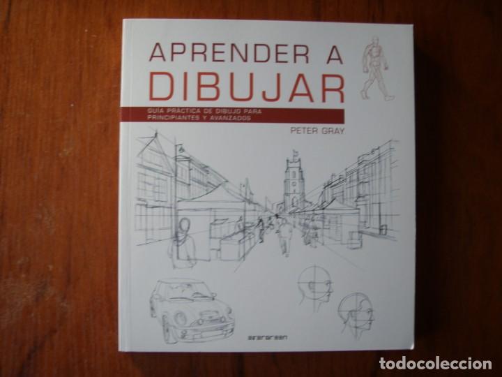 Libro Aprender a Dibujar De Peter Gray - Buscalibre