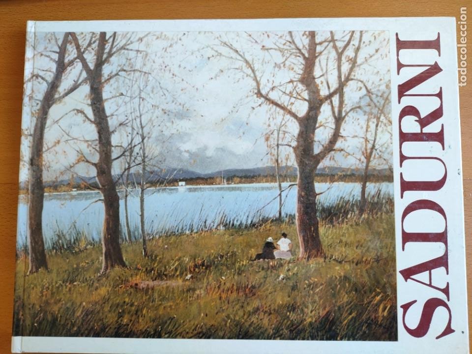 Libros de segunda mano: El pintor Sadurní por Lorenzo García-Diego Pérez Olot 1991 - Foto 1 - 243787965