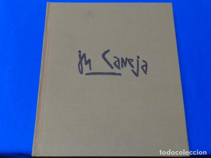 Libros de segunda mano: LIBRO DE JUAN MANUEL DIAZ CANEJA.CENTOR CULTURAL CONDE DUQUE.1994.