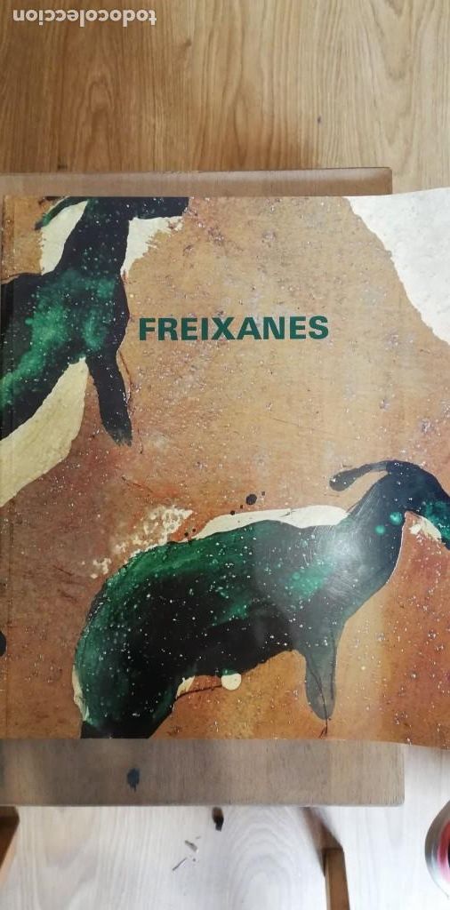 Libros de segunda mano: Freixanes. Ant&oacute;n Castro. 1992 - Foto 1