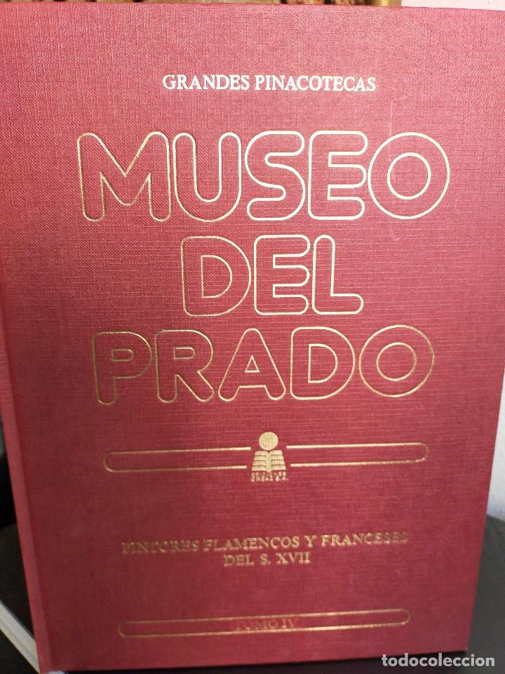 Livres d'occasion: Museo del Prado 4. Pintores Flamencos y Franceses del s. XVII. Grandes Pinacotecas IV