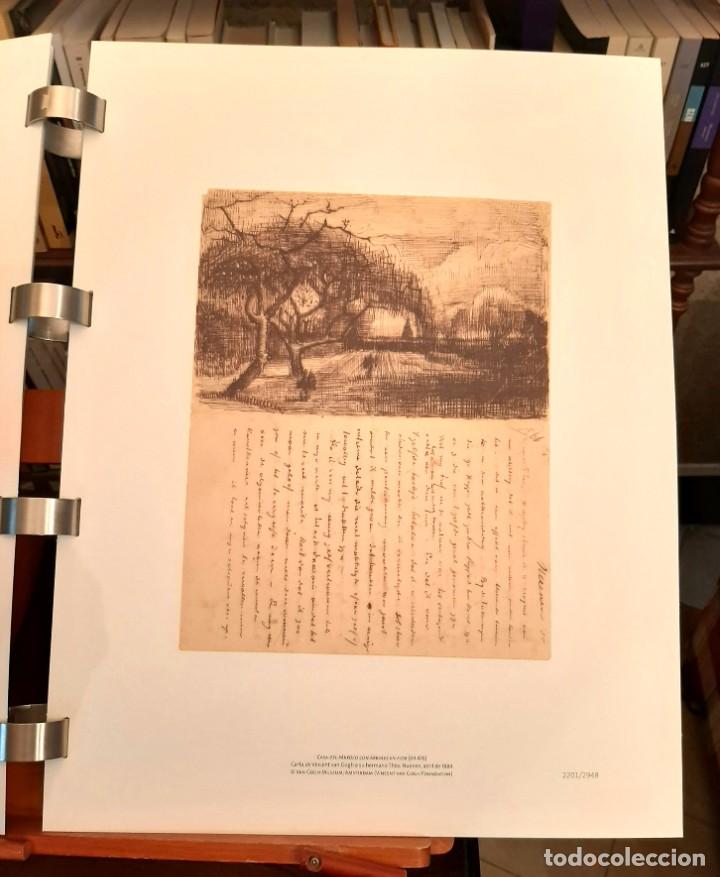 Libros de segunda mano: CARTAS ILUSTRADAS A TH&Eacute;O - Foto 8