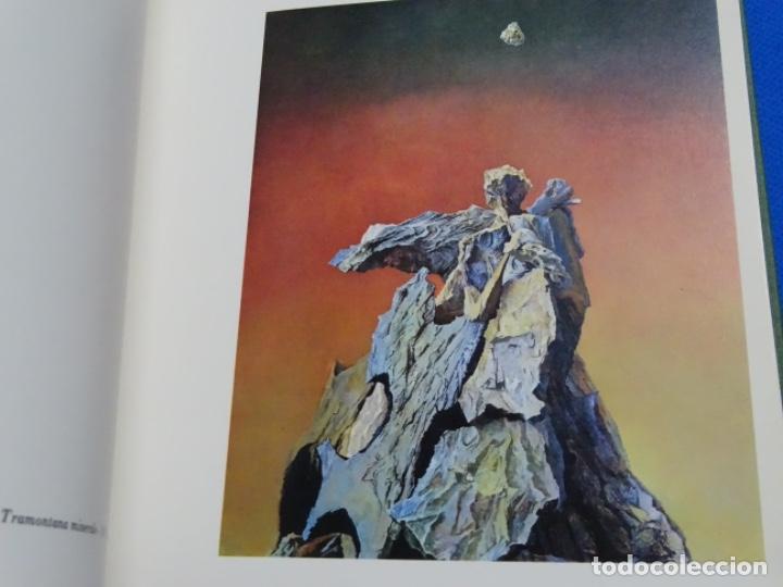 Libros de segunda mano: LIBRO DE ANTONI PITXOT CON DEDICATORIA. 1974. - Foto 3