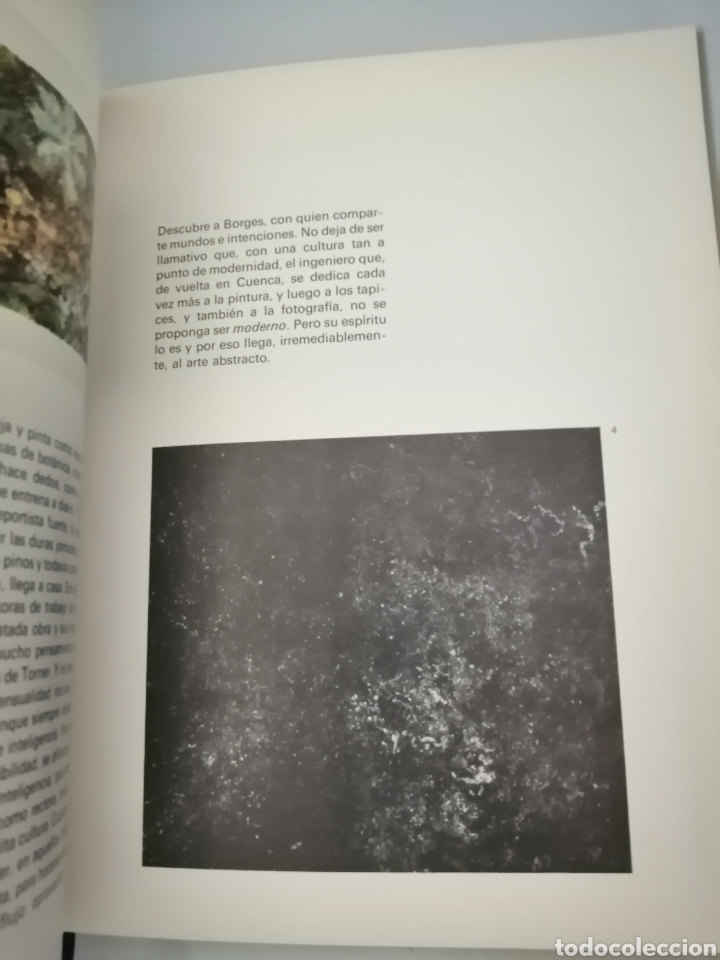 Libros de segunda mano: TORNER. EL ARTE COMO PROCESO (PRIMERA EDICI&Oacute;N) - Foto 5