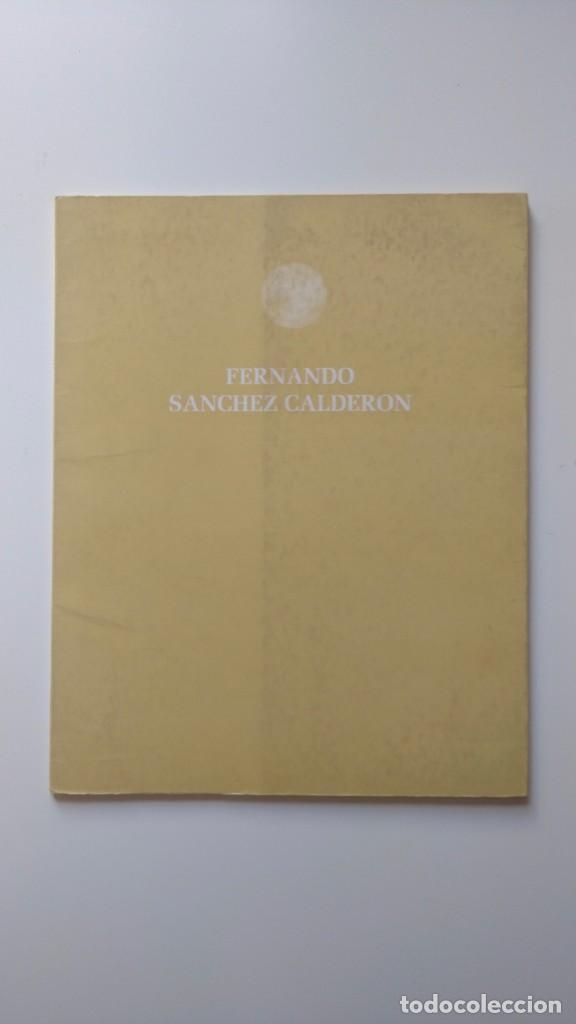 Libri di seconda mano: Expo. Fernando S&aacute;nchez Calder&oacute;n - Universidad P&uacute;blica de Navarra, Sala Carlos III - Noviembre 1995