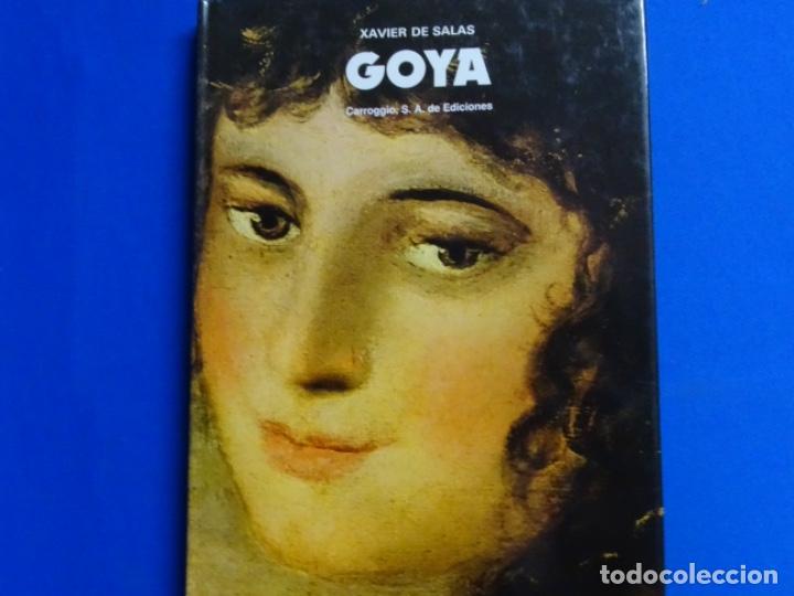 Libros de segunda mano: GOYA. CAVIER DE SALAS. 207 PAG. - Foto 1