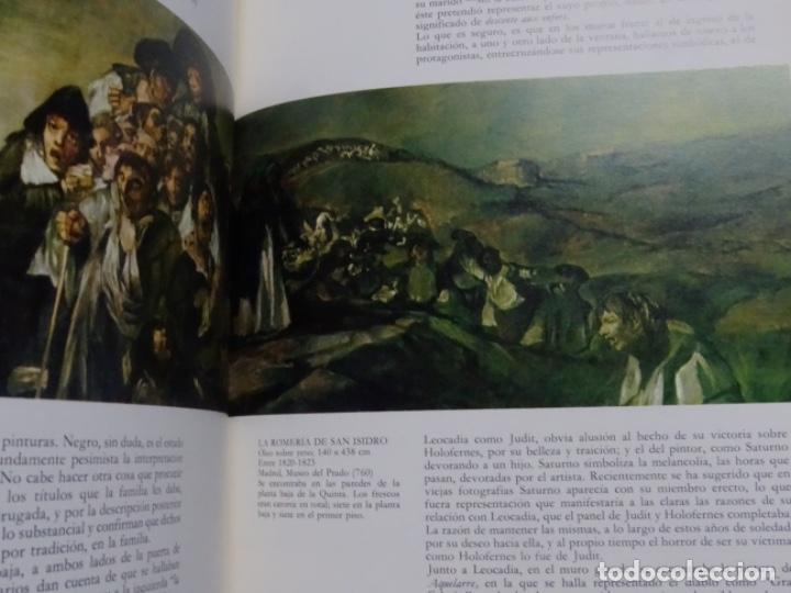 Libros de segunda mano: GOYA. CAVIER DE SALAS. 207 PAG. - Foto 3