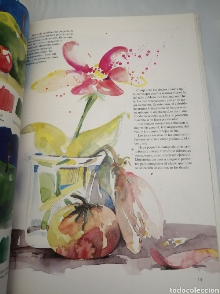 Libros de segunda mano: EL BODEG&Oacute;N EN LA ACUARELA - Foto 4