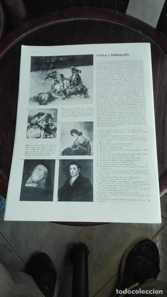 Libros de segunda mano: Goya - Foto 6