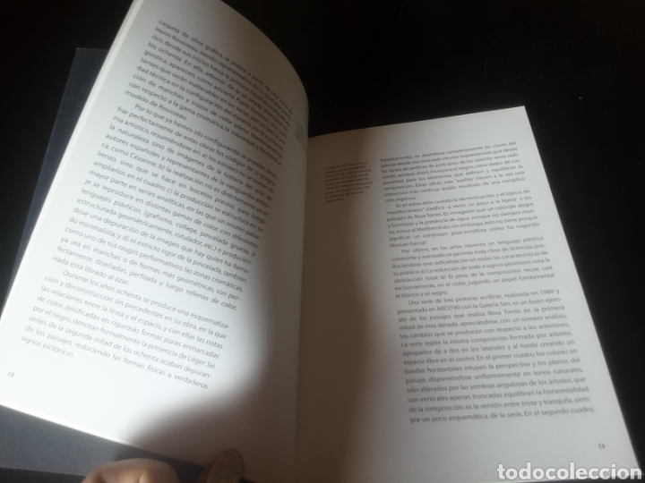 Libros de segunda mano: Rosa Torres: la reinterpretacion como reflexi&oacute;n. - Foto 7