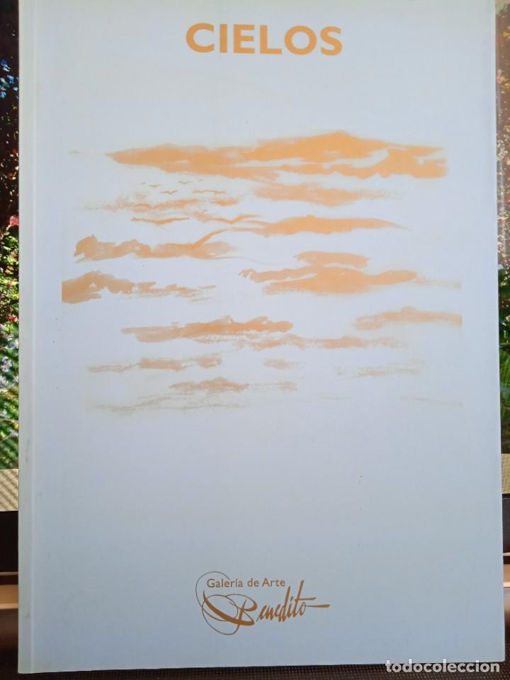 Libros de segunda mano: CIELOS, Galer&iacute;a de Arte Benedito - Foto 1