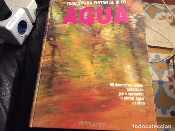 Gebrauchte B&uuml;cher: Temas para pintar al &oacute;leo: agua. Schaeffer (S. Allyn) parramon
