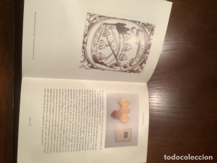 Libros de segunda mano: Libro de arte de Sinaga - Foto 7