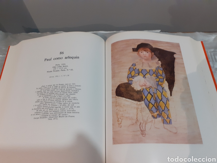 Libros de segunda mano: LIBRO &rdquo; PICASSO 1881~1973&rdquo;. - Foto 5