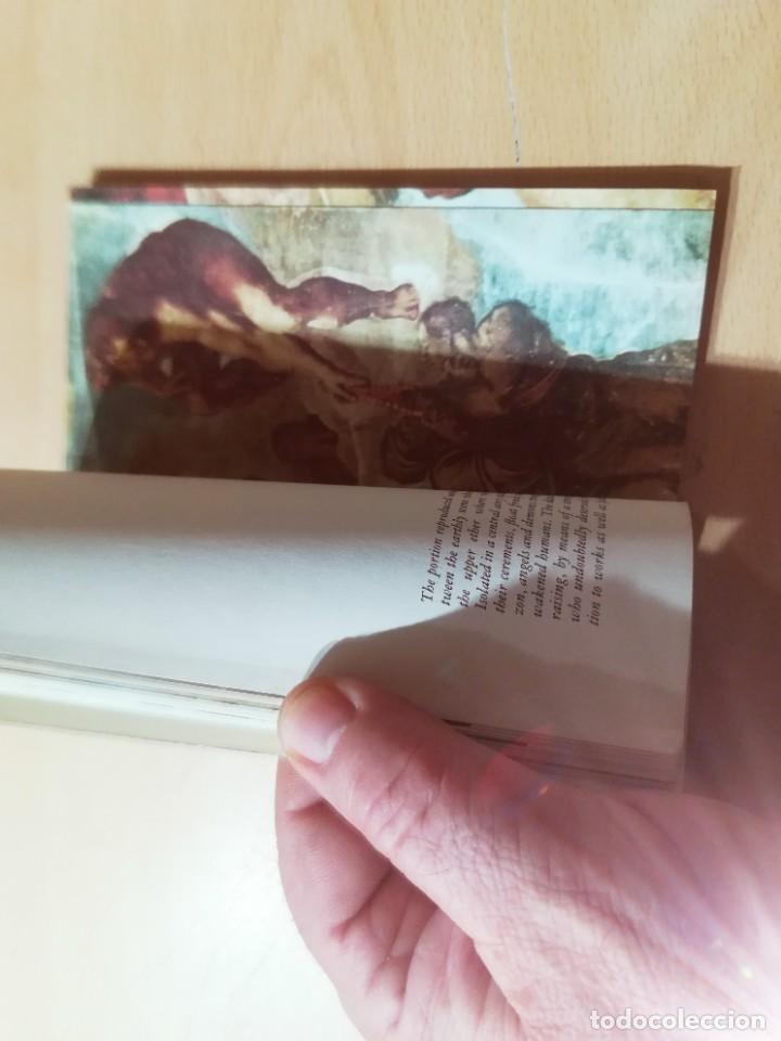 Libros de segunda mano: MICHELANGELO / EN INGLES / HARRY N ABRAMS / AK39 - Foto 10