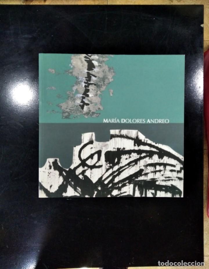 Libri di seconda mano: Mar&iacute;a Dolores Andreo. Exposici&oacute;n Cajamurcia 2005.