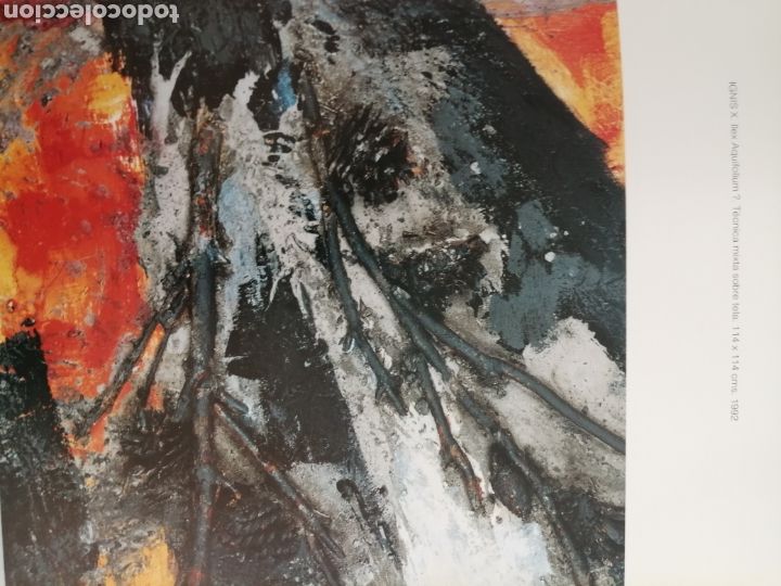 Libros de segunda mano: Jordi Sol&eacute;. Libro de la Exposici&oacute;n 1996 - Foto 2