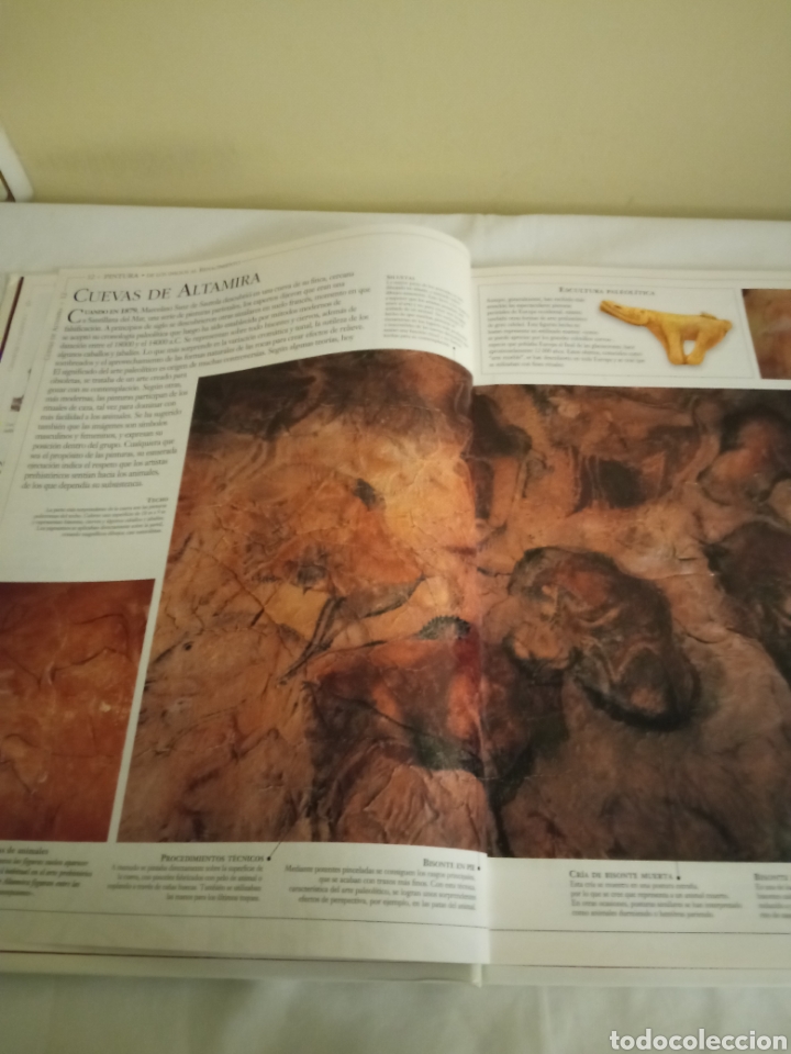 Libros de segunda mano: Libro Gu&iacute;a visual de Pintura y Arquitectura - Foto 6