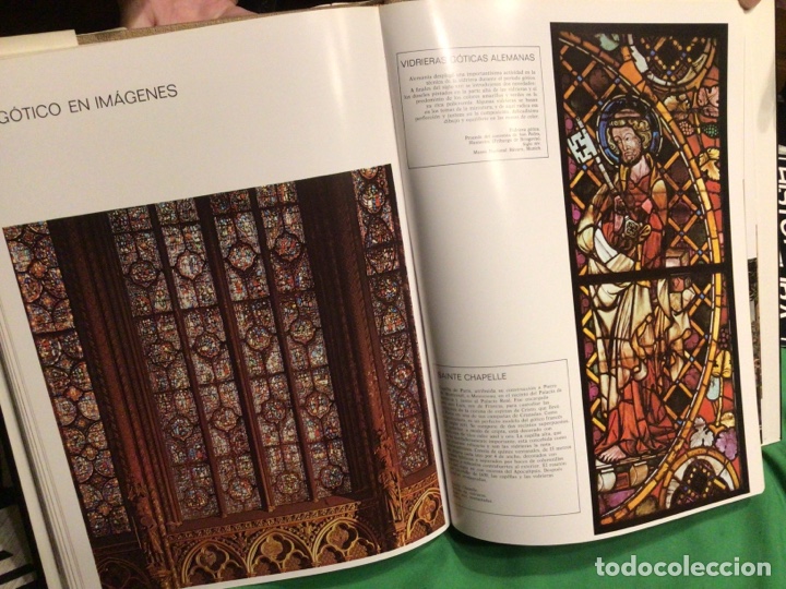 Libros de segunda mano: HISTORIA DE LA PINTURA 2 Tomos - Foto 9