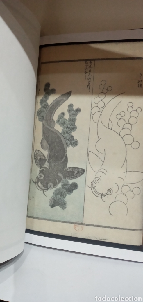Libros de segunda mano: RARO LIBRO LIBRO CON L&Aacute;MINAS JAPONESAS. - Foto 2