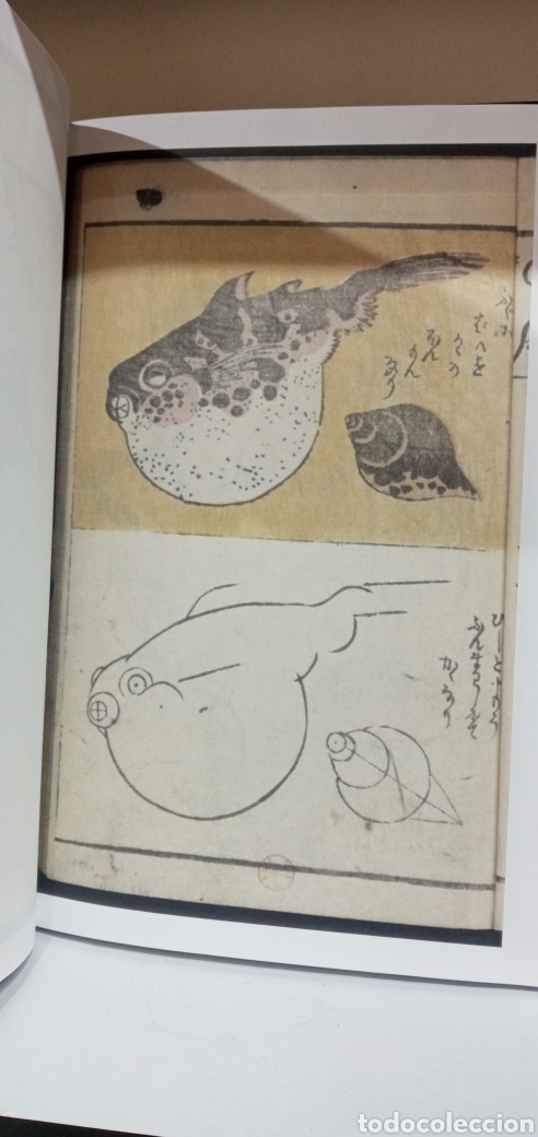 Libros de segunda mano: RARO LIBRO LIBRO CON L&Aacute;MINAS JAPONESAS. - Foto 6