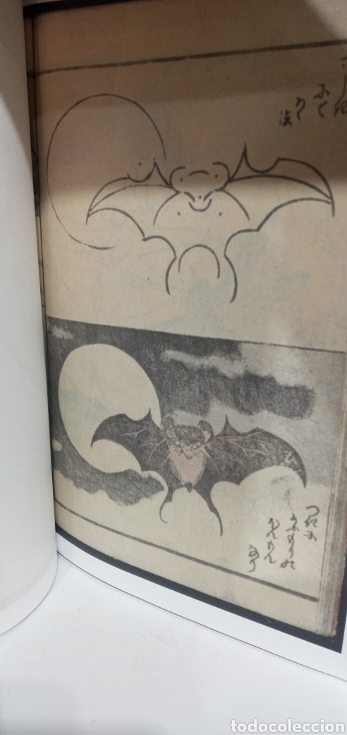 Libros de segunda mano: RARO LIBRO LIBRO CON L&Aacute;MINAS JAPONESAS. - Foto 1