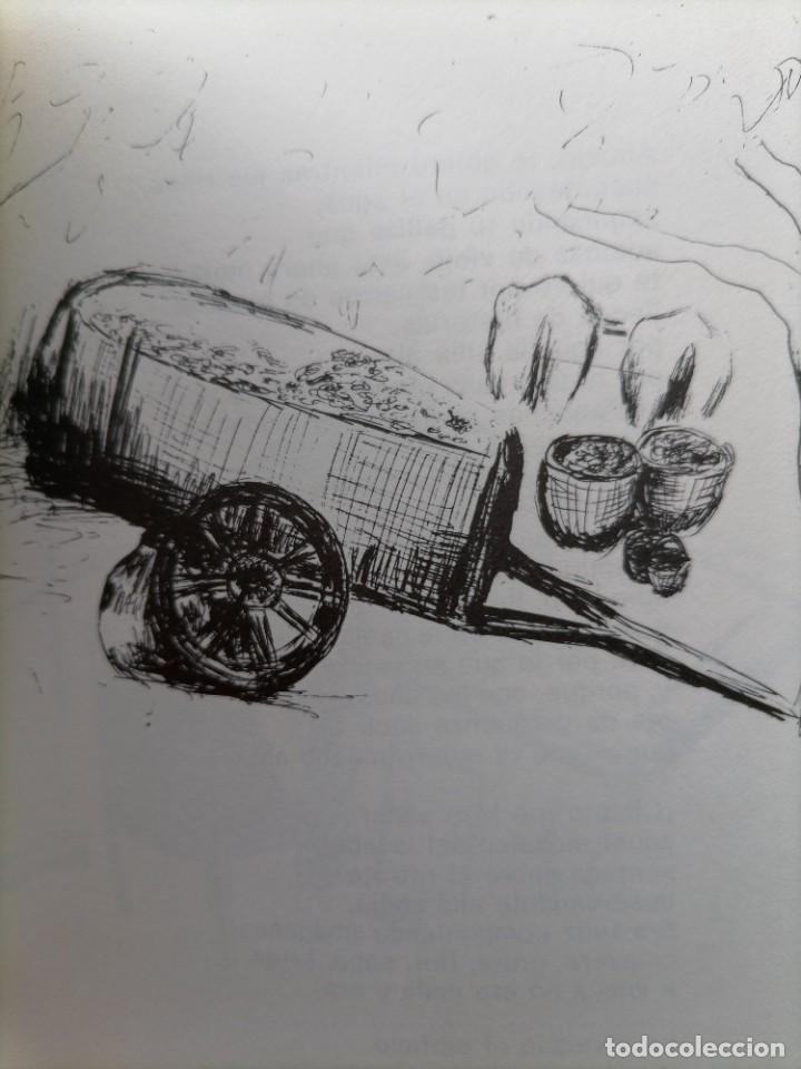Libros de segunda mano: So&ntilde;ar Mari&aacute;n - Foto 15