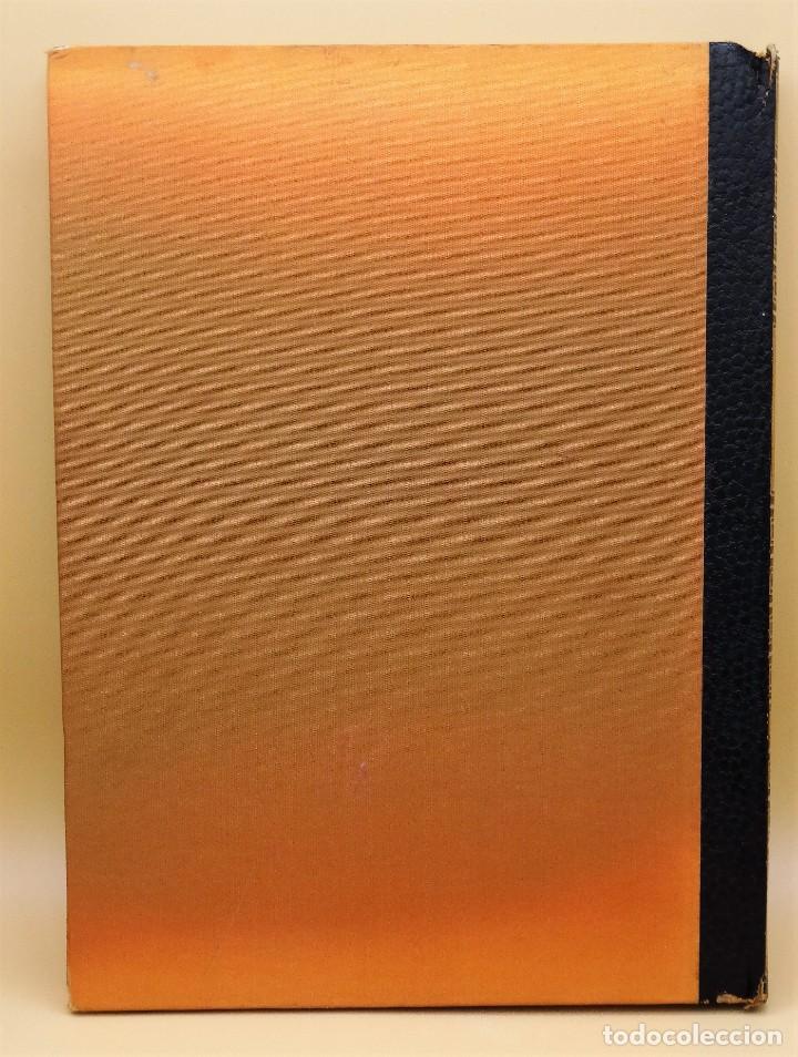 Libros de segunda mano: Libro &ldquo;Botticelli&rdquo; ilustrado con l&aacute;minas en color - Foto 2