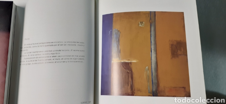 Libros de segunda mano: Libreto Rafols-Casamada - Foto 4