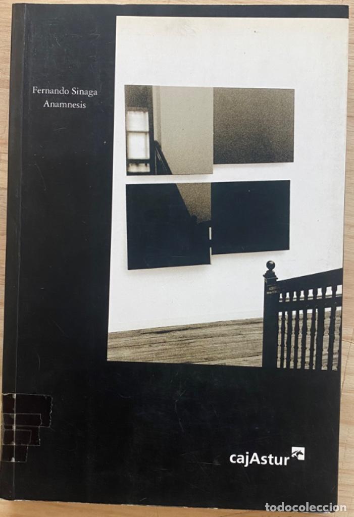 Libros de segunda mano: Fernando Sinaga. Anamnesis (Gij&oacute;n 2000) - Foto 1