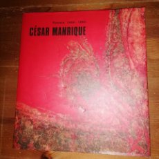 Libros de segunda mano: CÉSAR MANRIQUE, PINTURA 1958-1992. Lote 338947373