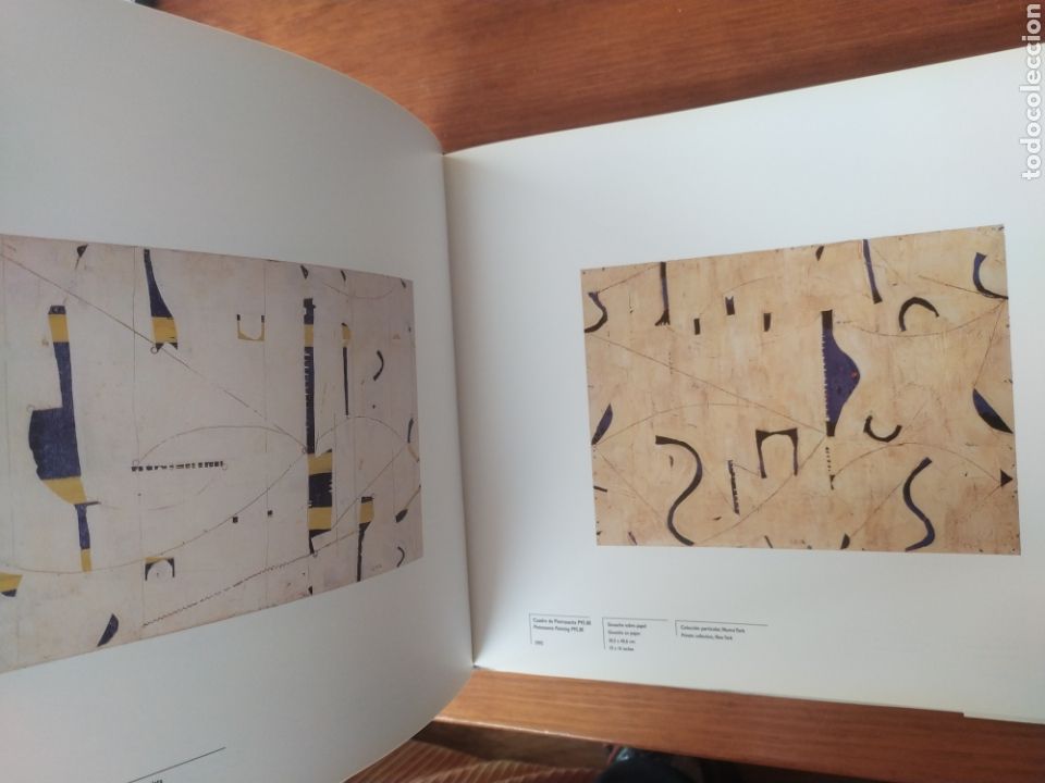 Libros de segunda mano: Caio Fonseca. IVAM - Foto 2