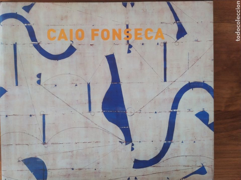 Libros de segunda mano: Caio Fonseca. IVAM - Foto 1