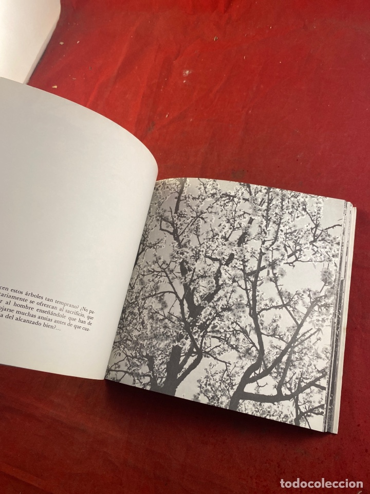 Libros de segunda mano: GABRIEL MIRO - Foto 6