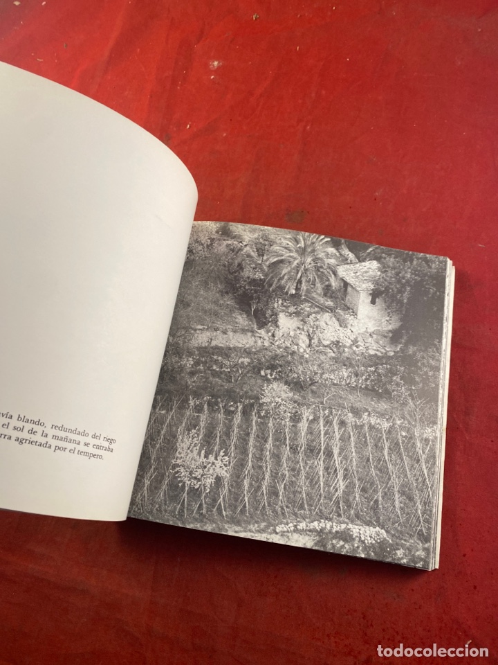 Libros de segunda mano: GABRIEL MIRO - Foto 7