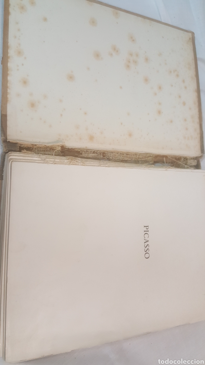 Libros de segunda mano: LIBRO SOBRE PICASSO POR ANDR&Eacute; LEVEL - Foto 6