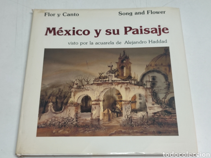 Gebrauchte B&uuml;cher: Alejandro Haddad Mexico y su paisaje