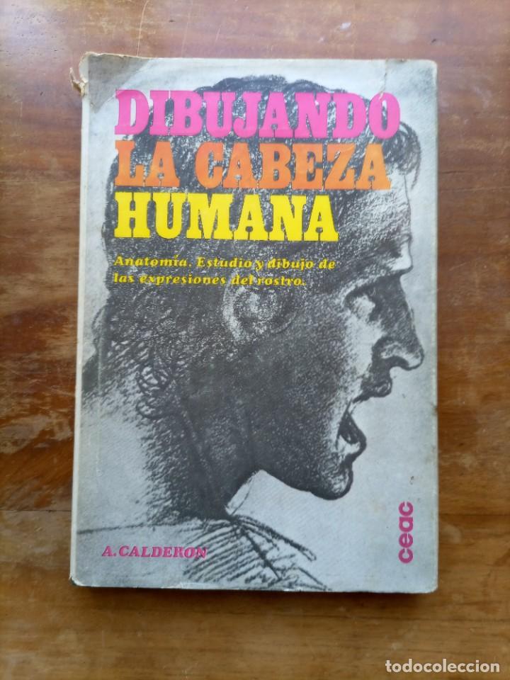 Libros de segunda mano: Dibujando la cabeza humana A. Calder&oacute;n - Foto 1