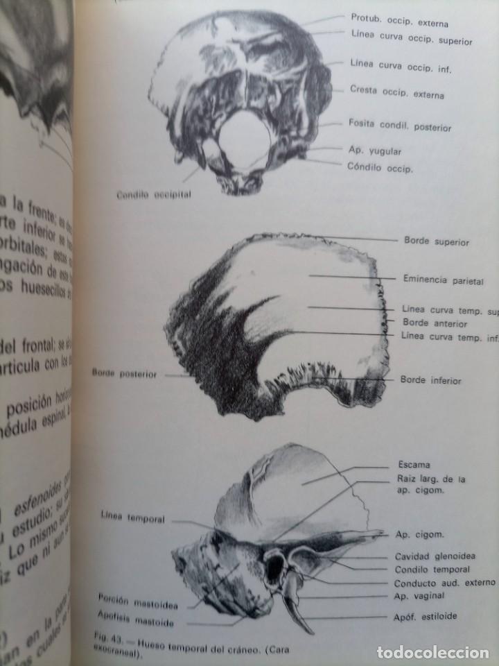 Libros de segunda mano: Dibujando la cabeza humana A. Calder&oacute;n - Foto 6