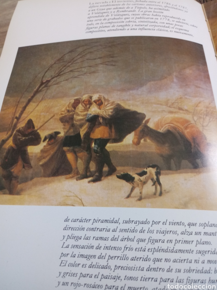 Libros de segunda mano: Goya en el Museo del Prado. - Foto 11
